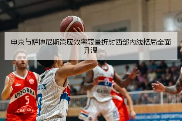 申京与萨博尼斯策应效率较量折射西部内线格局全面升温