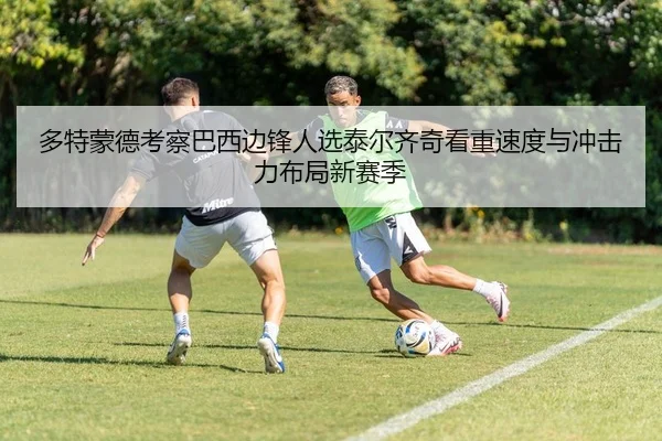 多特蒙德考察巴西边锋人选泰尔齐奇看重速度与冲击力布局新赛季